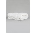 COUETTE BAYONNE C000027 240X220 360G M2 30% DUVET ET 70% PLUMETTES PYRENEX